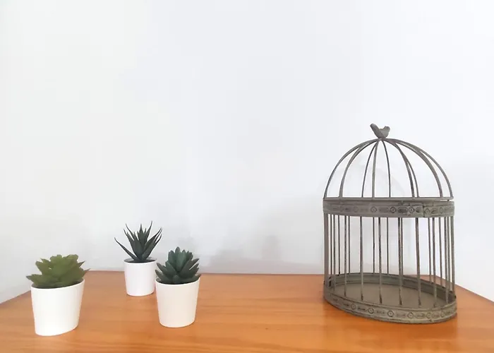 La Chalana 아리시페